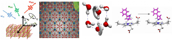 Illustration consisting of various molecules in 2D and 3D